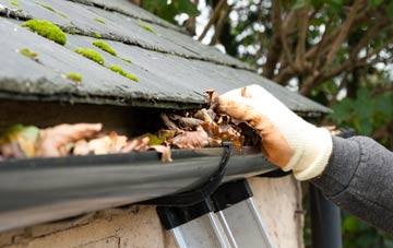 gutter cleaning Wittensford, Hampshire