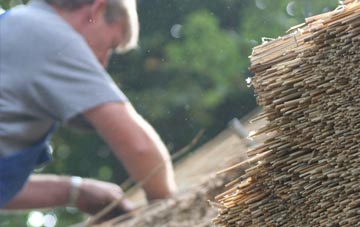 professional Wittensford thatchers